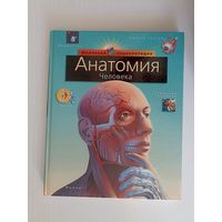Анатомия человека Школьная энциклоаедия