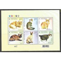 Украина. Кошки. 2008г. Mi#Бл61.