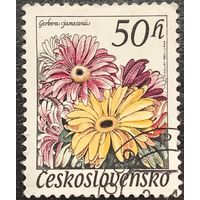 Чехословакия 1980. Флора. Герберы