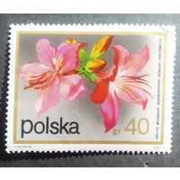 Марка Польша 1972 год Цветы