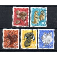 Местная дикая природа Швейцария 1965 год серия из 5 марок