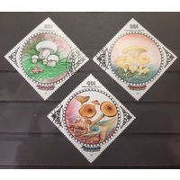 Монголия. 1985 год. Флора. Грибы