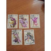 1991 СССР полная серия флора цветы (2-3)