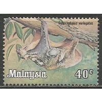 Малайзия. Животный мир юга Азии. Шерстокрыл. 1979г. Mi#190.
