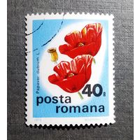 Марка Румыния 1975 год Цветы
