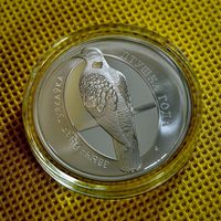 Обыкновенная горлица. Звычайная туркаўка. Птица года. 10 рублей 2023 год. Тираж 750 шт.