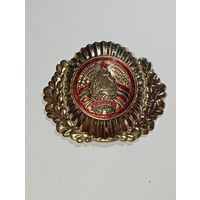 Кокарда МВД Республики Беларуси .