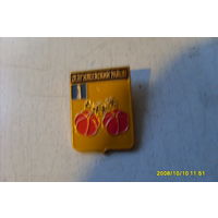 ЗНАЧОК  ГЕРБ " СЕНГИЛЕЕВСКИЙ  РАЙОН " УЛЬЯНОВСКАЯ  ОБЛАСТЬ  РОССИЯ