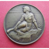 Швейцария. Федеральный стрелковый фестиваль в Беллинцоне 1929 г.