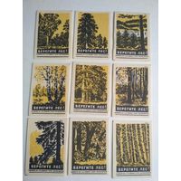 Спичечные этикетки ф.Гигант. Берегите лес. 1960 год
