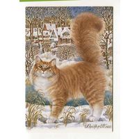 Открытка. Фауна. Животные. Кот. Коты. Котики. Кошечка Веснушка. Худ. Т.Хазова (чистая)