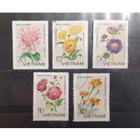 Вьетнам. Флора. Цветы (257)