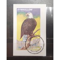 Эйнхаллоу. Шотландия. 1976 год. Фауна. Птицы. Орлы. Блок беззубцовка (452)