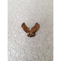 Фрачник ПВ Беларусь