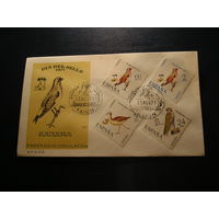 Испанская Сахара 1971 КПД, Птицы