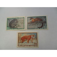 СССР 1959г, животные