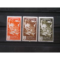 Испанская Гвинея 1951