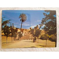 Алжир, Лагуат