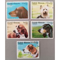Собаки. Гвинея-Биссау,1988