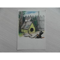 Открытка. Верный сторож. СССР. Худ.Сутеев В. Г. 1964 г. Чистая.