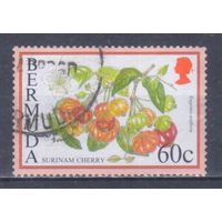 [905] Бермуды 1995. Флора.Фрукты.Плоды.Суринамская вишня. Гашеная марка.