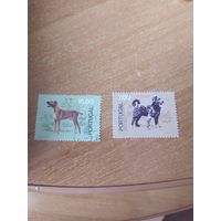 Марки Португалии, собаки.