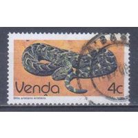 [136] Венда,ЮАР 1986. Фауна.Рептилии.Змеи.Гадюка. Гашеная марка.