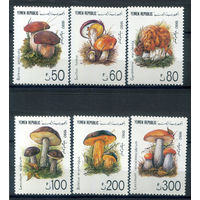 Йемен - 1991г. - грибы - 6 марок - MNH. #O-W-92-F-1