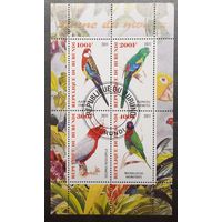 Бурунди. 2011 год. Фауна. Птицы. Попугаи. Блок (4 марки) (453)