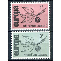 Бельгия - 1965г. - Europa CEPT - 2 марки - полная серия, MLH [Mi 1399-1400]. #2-Be-58-B-1