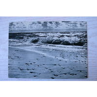 Прибалтика, Литовская ССР, Паланга; 1965, чистая.