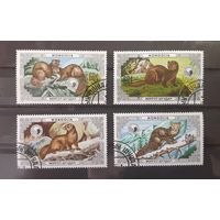 Монголия. 1986 год. Фауна. Пушные звери