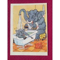 Ванна с душем. Баженов 1956 г. Чистая. Кр1.
