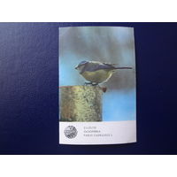 Календарик 1987 г.  Латвийское общество Охраны природы.  Лазоревка.