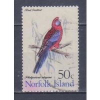 [823] Норфолк 1970. Фауна.Птицы.Попугай.50с. Гашеная марка.