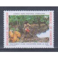 [2149] Камерун 1990. Флора.Плоды.Какао. MNH