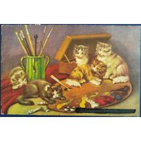 С Днем Именин! Котята. Латвия. 1938 г.