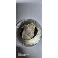 1 руб 2009 года Серый Гусь
