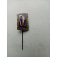 ЗНАЧОК ПОЛЬША ТЯЖ-МЕТАЛЛ