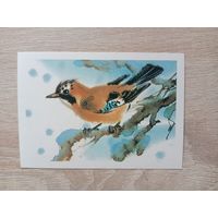 Каневский 1985 мини