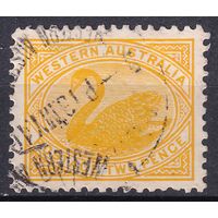 163.Aust. Великобритания. Австралийские штаты. Западная Австралия. Чёрный лебедь. Стандарт. 1905 г. 2p. Mi.#63A.