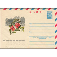 Художественный маркированный конверт СССР N 12687 (23.02.1978) АВИА  Брусника