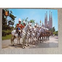 Этнография. Барселона. Конная полиция мэрии Барселоны