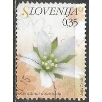 Словения. Цвет вишни. 2007г. Mi#617.