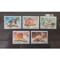 Камбоджа. 1998 год. Фауна. Кошки (5 марок)