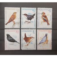 Распродажа с 1 рубля! Фауна. Болгария. 1987 год. Птицы (6 марок)