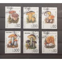 Йемен. 1990 год. Флора. Грибы
