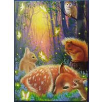 Лес мечты. Bridget Voth. Беларусь. 2020 г.