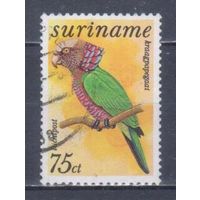 [823] Суринам 1977. Фауна.Птицы.Попугай. Гашеная марка.