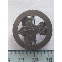 Значок Швеция